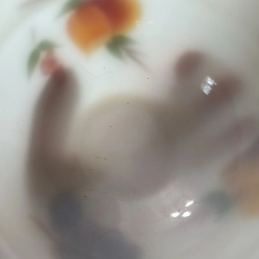VTG Anchor Hocking Fire King Gay Fad Fruit Pattern Hand Painted White Milk Glass